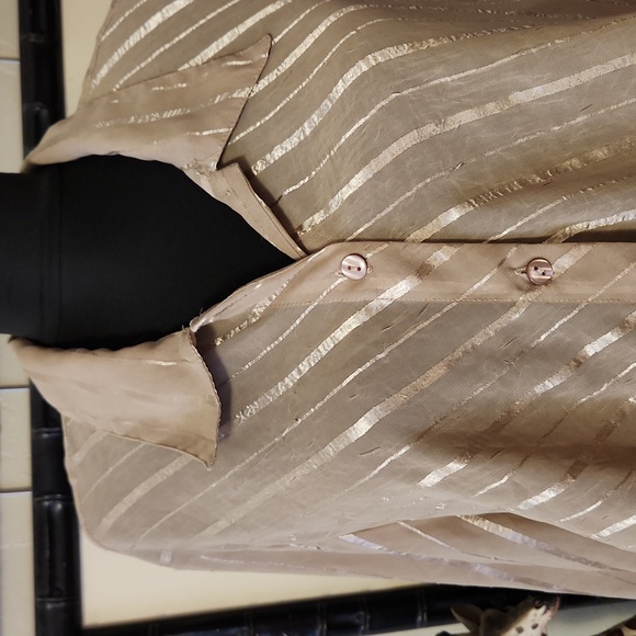 Long, Sheer Beige Blouse - Picture 2 of 4